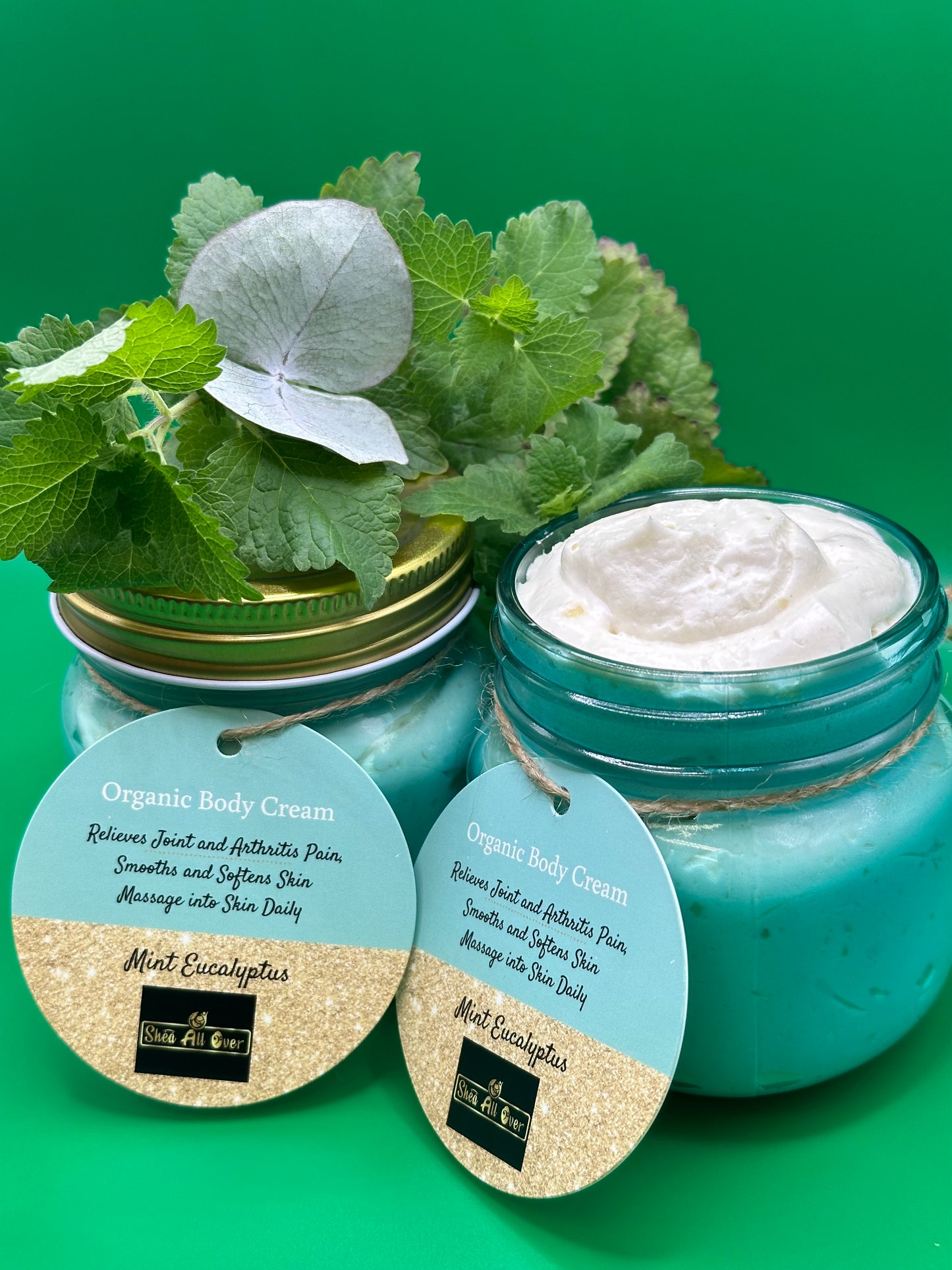 Mint Eucalyptus Body Cream (Joint Pain/Arthritis)